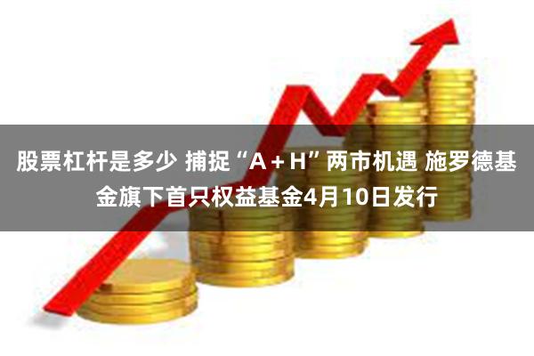 股票杠杆是多少 捕捉“A＋H”两市机遇 施罗德基金旗下首只权益基金4月10日发行