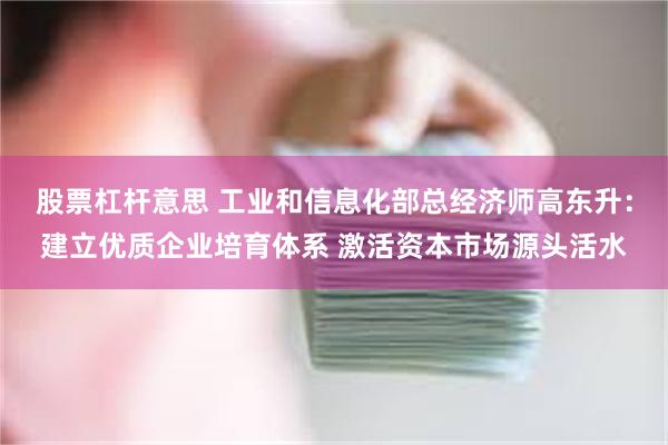 股票杠杆意思 工业和信息化部总经济师高东升：建立优质企业培育体系 激活资本市场源头活水