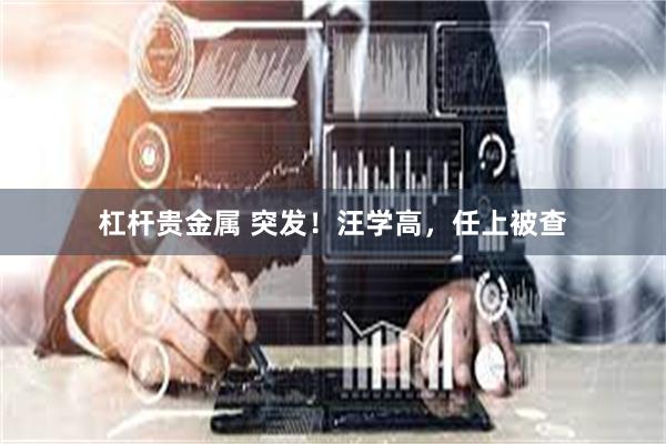 杠杆贵金属 突发！汪学高，任上被查