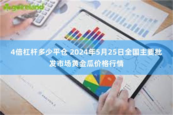 4倍杠杆多少平仓 2024年5月25日全国主要批发市场黄金瓜价格行情