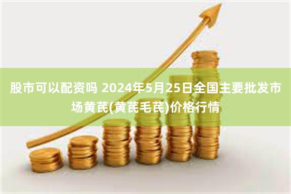 股市可以配资吗 2024年5月25日全国主要批发市场黄芪(黄芪毛芪)价格行情