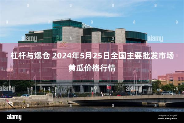 杠杆与爆仓 2024年5月25日全国主要批发市场黄瓜价格行情