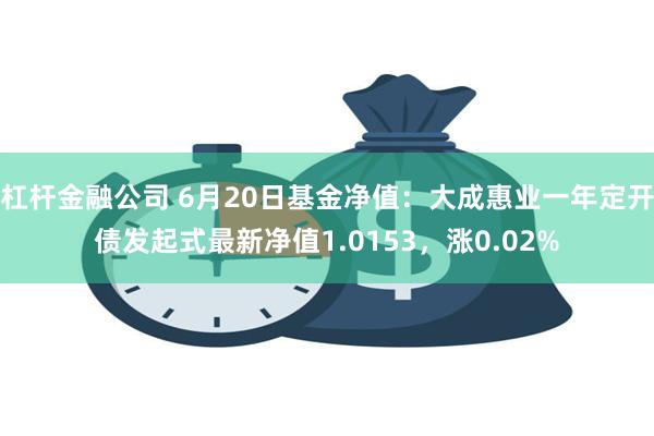 杠杆金融公司 6月20日基金净值：大成惠业一年定开债发起式最新净值1.0153，涨0.02%