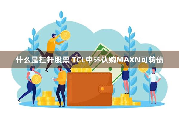 什么是扛杆股票 TCL中环认购MAXN可转债