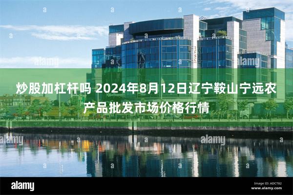 炒股加杠杆吗 2024年8月12日辽宁鞍山宁远农产品批发市场价格行情