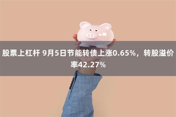 股票上杠杆 9月5日节能转债上涨0.65%，转股溢价率42.27%