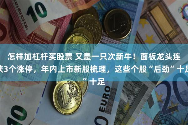 怎样加杠杆买股票 又是一只次新牛！面板龙头连获3个涨停，年内上市新股梳理，这些个股“后劲”十足