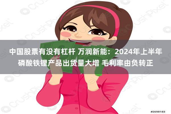 中国股票有没有杠杆 万润新能：2024年上半年磷酸铁锂产品出货量大增 毛利率由负转正