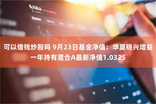 可以借钱炒股吗 9月23日基金净值：华夏稳兴增益一年持有混合A最新净值1.0325