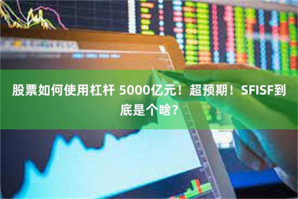 股票如何使用杠杆 5000亿元！超预期！SFISF到底是个啥？