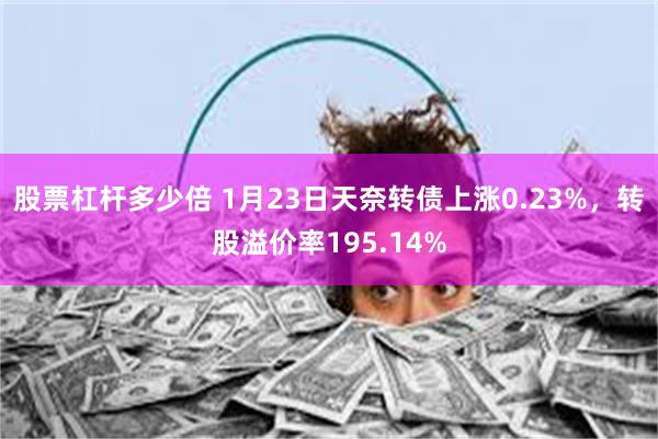 股票杠杆多少倍 1月23日天奈转债上涨0.23%，转股溢价率195.14%