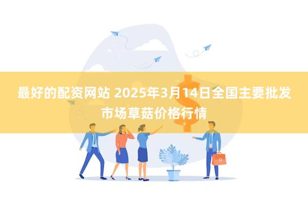 最好的配资网站 2025年3月14日全国主要批发市场草菇价格行情